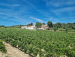 Domaine-viticole-de-49-ha-en-agriculture-biologique
