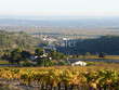 Domaine-viticole-de-49-ha-en-agriculture-biologique