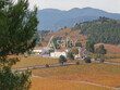 Domaine-viticole-de-49-ha-en-agriculture-biologique