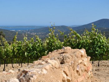 Domaine, Propriété de prestige.