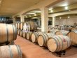 Magnificent-turnkey-vineyard-estate-for-sale--AOC-Cotes-de-Duras-