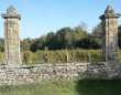 GIRONDE-Rare-au-coeur-des-Graves-petit-domaine-familial-entoure-de-forets