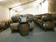 GIRONDE-35-hectares-planted-with-vines-in-the-heart-of-Entre-Deux-Mers