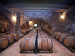 Domaine-viticole-bio-de-prestige-sur-122-ha-proche-Perpignan