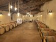 Somptueuse-Chartreuse-avec-vignoble-pres-de-Saint-Emilion