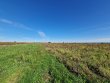 VIGNES-EN-AOP-MOULIN-A-VENT