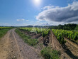 Propriete-viticole-de-17-Ha-en-Corbieres-avec-hangars