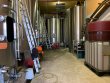 GIRONDE-Aux-portes-de-Libourne-vignes-en-AOC-Saint-Emilion