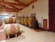 GIRONDE-Entre-Bordeaux-et-la-mer-Joli-domaine-en-AOP-Haut-Medoc-Cru-Bourgeois