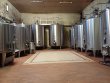GIRONDE-Entre-Bordeaux-et-la-mer-Joli-domaine-en-AOP-Haut-Medoc-Cru-Bourgeois