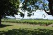 Propriete-viticole-de-26-hectares-en-Agriculture-Biologique-