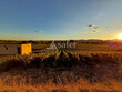 Opportunite-viticole-en-Terrasses-du-Larzac