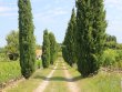 En-BIO-propriete-cle-en-main-dans-bel-environnement-sur-coteaux-joli-domaine-familial-en-AOP-Cotes-de-Bordeaux
