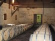 GIRONDE-Beau-domaine-viticole-rentable-en-AOP-Cotes