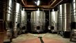 Sainte-Foy-la-Grande-magnificent-vineyard-and-equestrian-estate-80-ha-of-vines-and-35-ha-of-woods