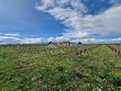 10ha-vignes-et-terres-GAILLAC
