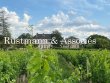 Splendide-chateau-neo-classique-avec-vignoble-de-50-hectares