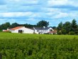 LOIRE-ATLANTIQUE--Vignoble-et-son-chateau