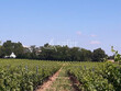Rive-droite-Chateau-et-Domaine-viticole-de-prestige