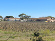Propriete-viticole-de-60-ha-proche-de-Beziers