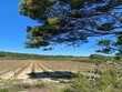 Propriete-viticole-de-60-ha-proche-de-Beziers