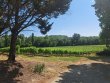 Propriete-viticole-sur-14-hectares-Ref-150