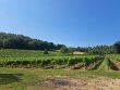 Propriete-viticole-sur-14-hectares-Ref-150