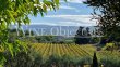 Beautiful-18-ha-estate-with-around-14-ha-of-AOP-vineyards-certified-organic