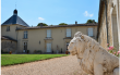 Vend-cinq-parts-de-GFV-Chateau-Cantin