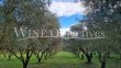 Charming-10ha-wine-and-olive-oil-growing-estate-near-St-Remy-de-Provence