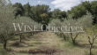 A-Provencal-idyll-just-20-mins-from-Aix-en-Provence
