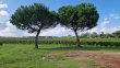 14-hectares-AOC-GRAVES