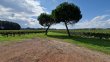 14-hectares-AOC-GRAVES