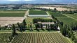 Domaine-viticole-en-cave-particuliere-a-reprendre-dans-lAude-a-Marseillette