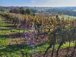 Vignes-6-ha-GAILLAC
