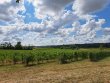 Propriete-viticole-39-ha-AOC-Bordeaux