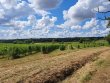 Propriete-viticole-39-ha-AOC-Bordeaux