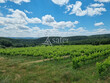 Belle-unite-fonciere-viticole-dune-quinzaine-dhectares-en-Cotes-du-Rhone-gardoises