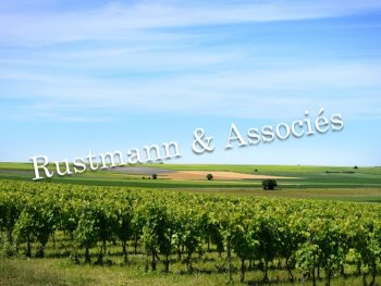 Propriété complète en Petite Champagne