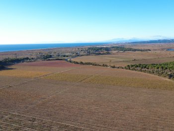 Domaine viticole et touristique d'exception dans l'Hérault