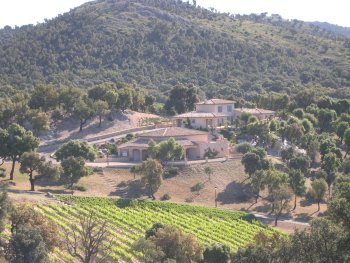 Estate, Prestigious wine estate.