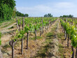 Propriete-AGRICOLE-de-15-hectares-avec-batis