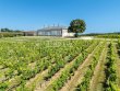 Domaine-viticole-historique-en-Fronsac-avec-un-terroir-de-qualite-a-proximite-de-Libourne